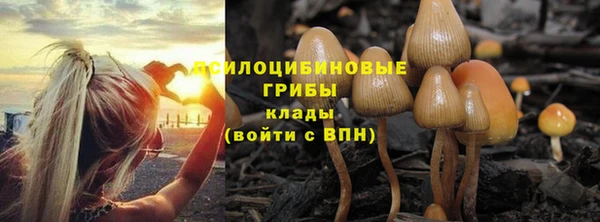 синтетический гашиш Верея