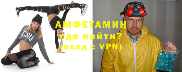 индика Володарск