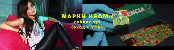 прущие грибы Верхнеуральск