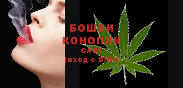 прущие грибы Верхнеуральск