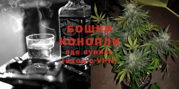 индика Володарск