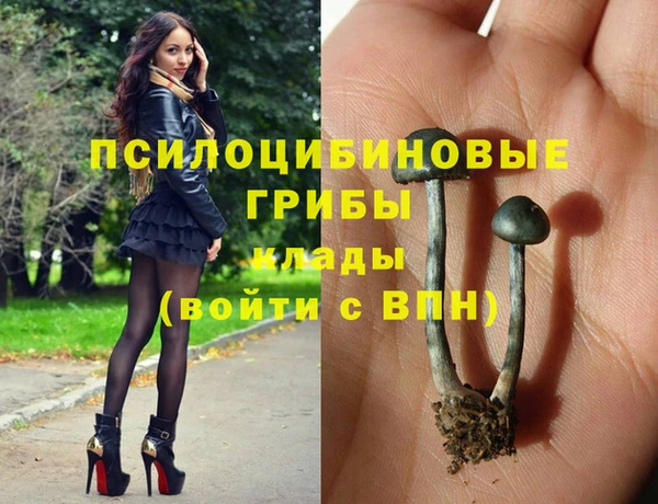 прущие грибы Верхнеуральск
