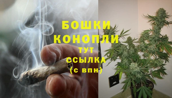 spice Верхний Тагил