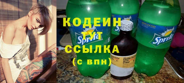 индика Володарск