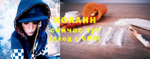 индика Володарск