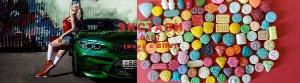 индика Володарск