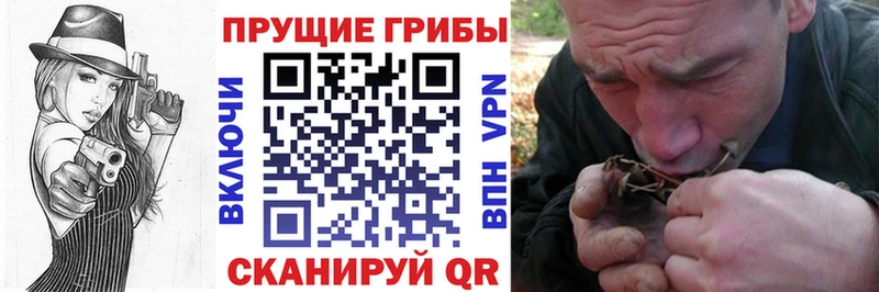 Псилоцибиновые грибы мицелий  mega зеркало  Ивангород 